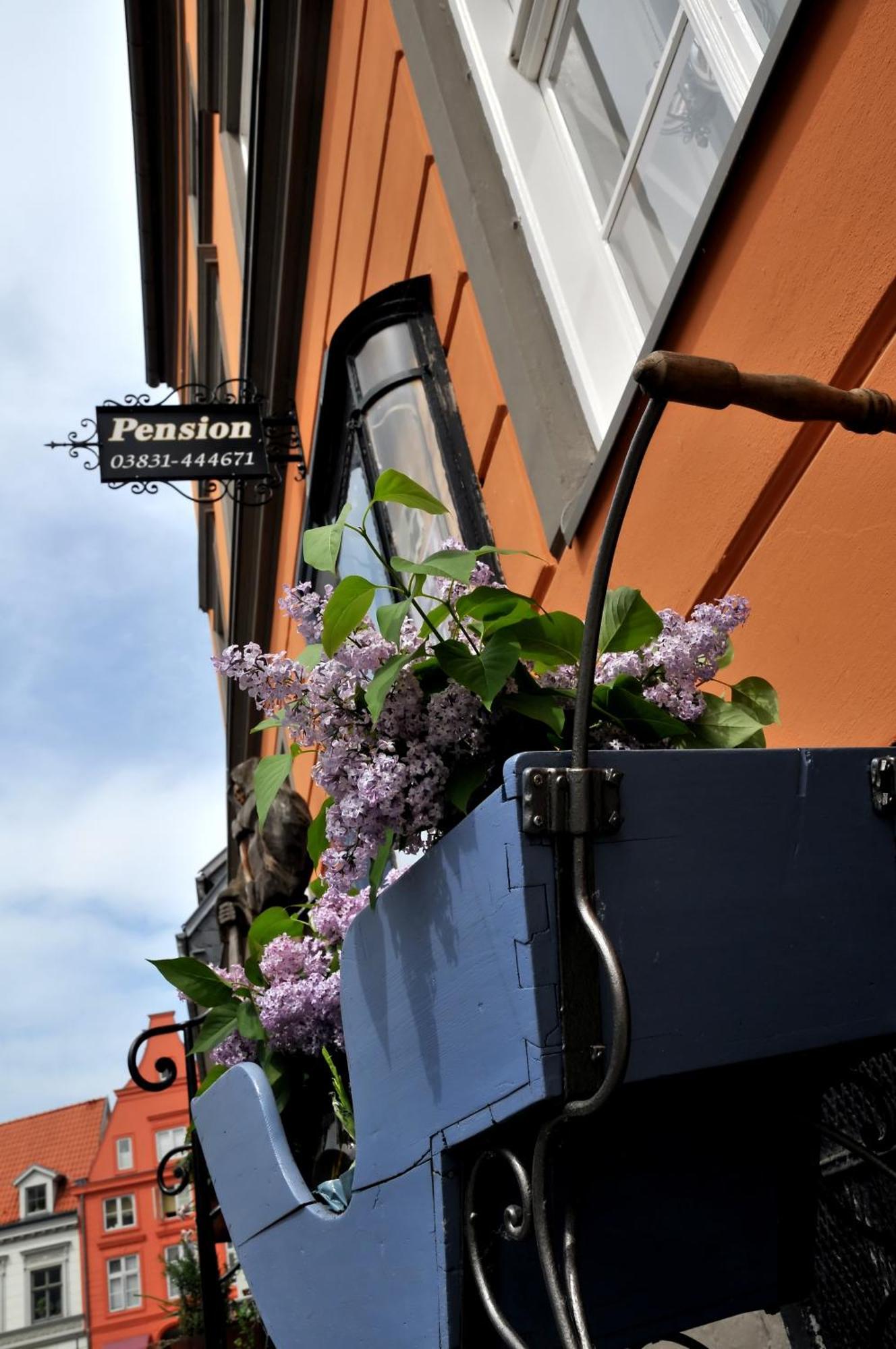 Pension Altstadt Moench In Top Lage Preis Inclusive 5 Prozent Bettensteuer Und Fruehstueck Stralsund Esterno foto